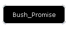 Bush_Promise